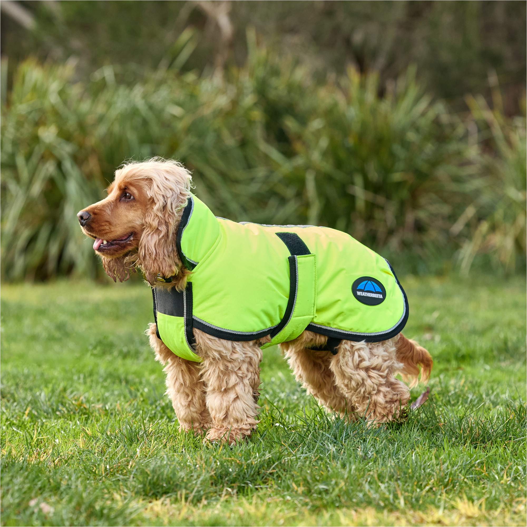 2025 Weatherbeeta Comfitec Reflective 300D Deluxe Showerproof Dog Coat 1029050 - Yellow